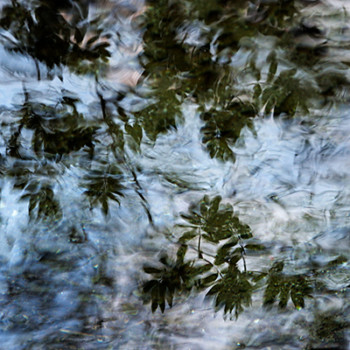 “Wasser weiss zu reden”