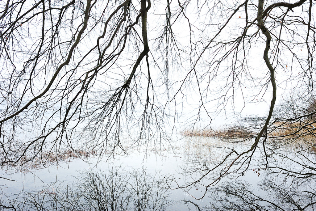 Winter_CMU2146._011