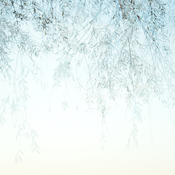 3. Kunstmesse Neubrandenburg